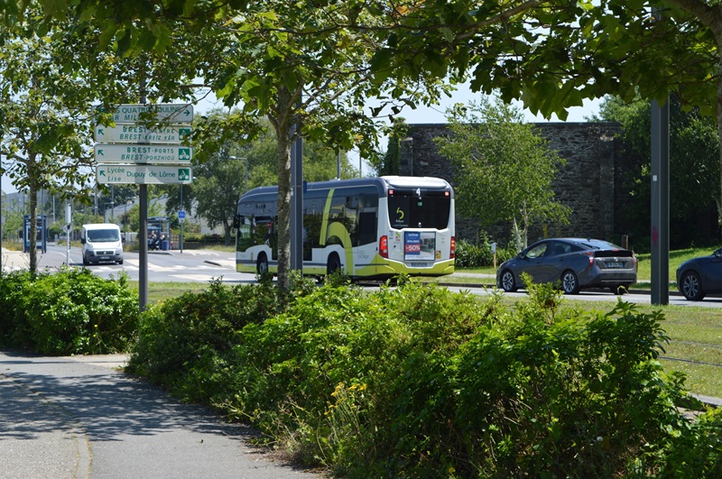 Bibus Ligne 4