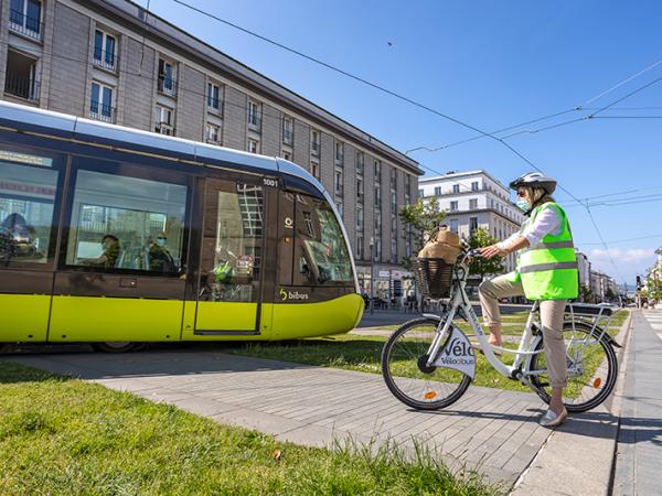 Tram-et-vélocibus.jpg